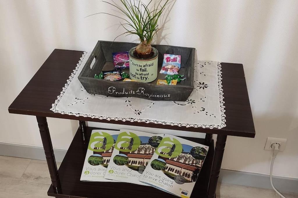 Appartement Cosy A 2 Pas Des Rues Pietonnes Chalon-sur-Saone Luaran gambar